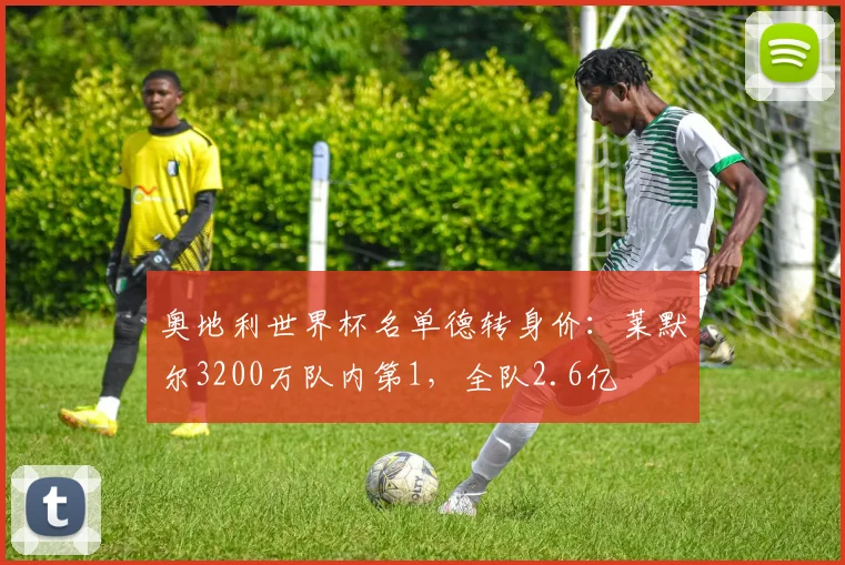 奥地利世界杯名单德转身价：莱默尔3200万队内第1，全队2.6亿