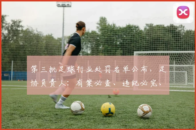 第三批足球行业处罚名单公布，足协负责人：有案必查、违纪必究、执纪必严