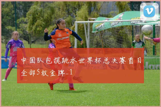 中国队包揽跳水世界杯总决赛首日全部5枚金牌_1